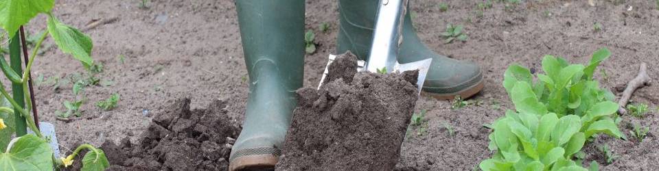 Curso gratuito Agricultura Ecológica (Dirigida a la Acreditación de las Comptencias Profesionales R.D. 1224/2009) cursos gratuitos