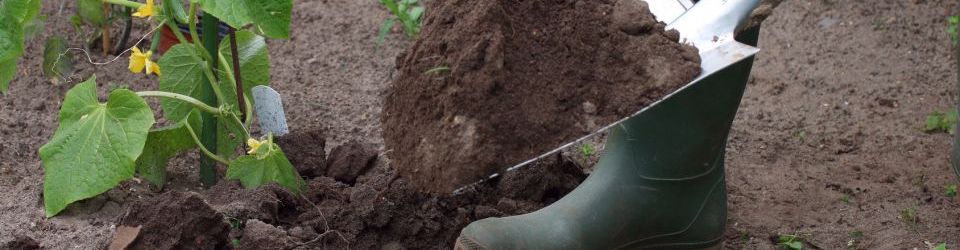 Curso gratuito Carnet de Aplicador de Productos Fitosanitarios. Nivel Cualificado (Presencial en Granada) cursos gratuitos