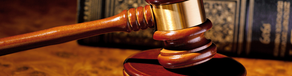 Curso Gratuito Perito Judicial en Dactiloscopia + Titulación Universitaria en Elaboración de Informes Periciales (Doble Titulación + 4 Créditos ECTS) cursos gratuitos