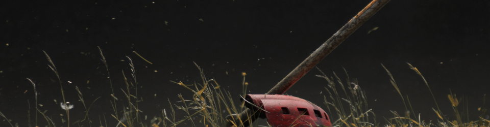 Curso gratuito Curso Online de Prevención de Riesgos Laborales en Desbrozadora y Motosierra cursos gratuitos