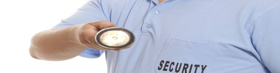 Curso gratuito Vigilante de Seguridad cursos gratuitos