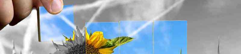 Curso Gratuito Especialista en Botánica Agronómica cursos gratuitos