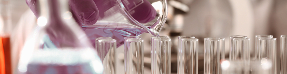 Curso Gratuito Experto en Ensayos Microbiológicos cursos gratuitos