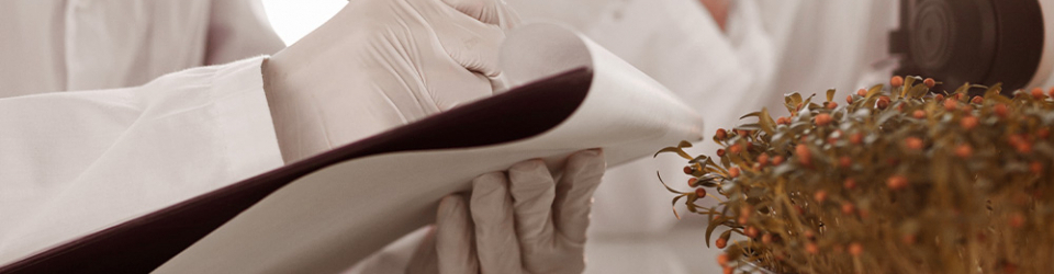 Curso Gratuito Experto en Química Sostenible cursos gratuitos