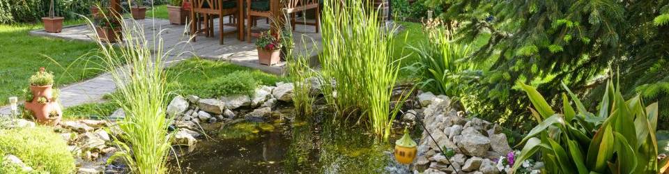 Curso gratuito Gestión y Comercialización de Alojamientos Rurales cursos gratuitos