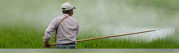 Curso gratuito SEAG0110 Servicios para el Control de Plagas (PRESENCIAL en Pozo Alcón - Jaén) cursos gratuitos