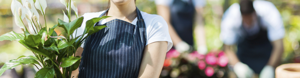 Curso Gratuito UF0277 Supervisión y Coordinación de los Trabajos de Elaboración y Acabado de Composiciones Florales, Decoraciones y Ambientaciones (Online) cursos gratuitos