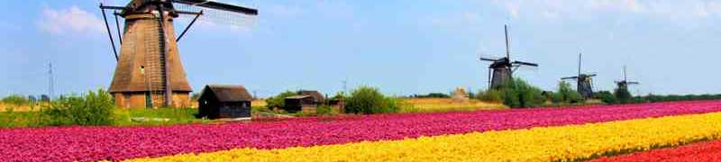 Curso Gratuito UF0279 Evaluación de la Viabilidad Económica de Nuevos Productos y Servicios de Floristería cursos gratuitos