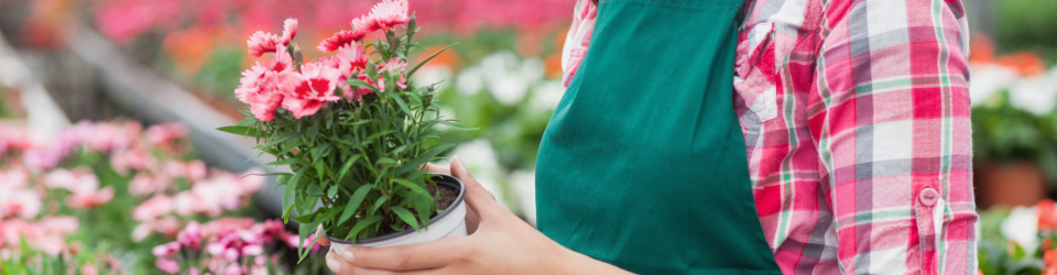 Curso Gratuito UF0283 Programación de Acciones Promocionales en Floristería (Online) cursos gratuitos