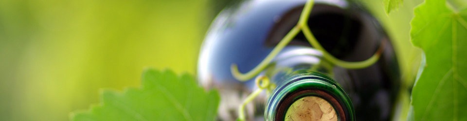 Curso Gratuito UF0934 Estabilización y Crianza cursos gratuitos