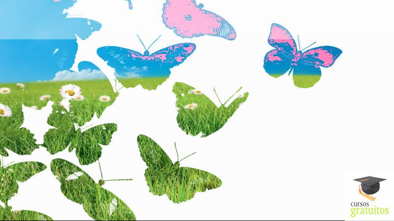 Cursos Para Trabajadores Especialista En Scanner (sector: Seguridad Privada) Sead062po cursos gratuitos