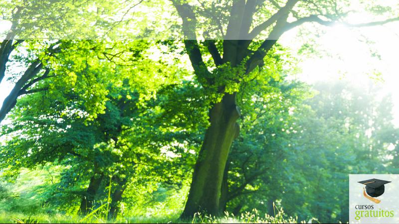 cursos gratuitos