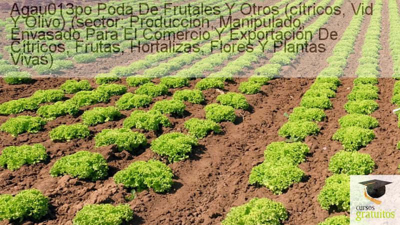 Cursos Para Trabajadores Poda De Frutales Y Otros (cítricos, Vid Y Olivo) (sector: Producción, Manipulado, Envasado Para El Comercio Y Exportación De Cítricos, Frutas, Hortalizas, Flores Y Plantas Vivas) Agau013po cursos gratuitos
