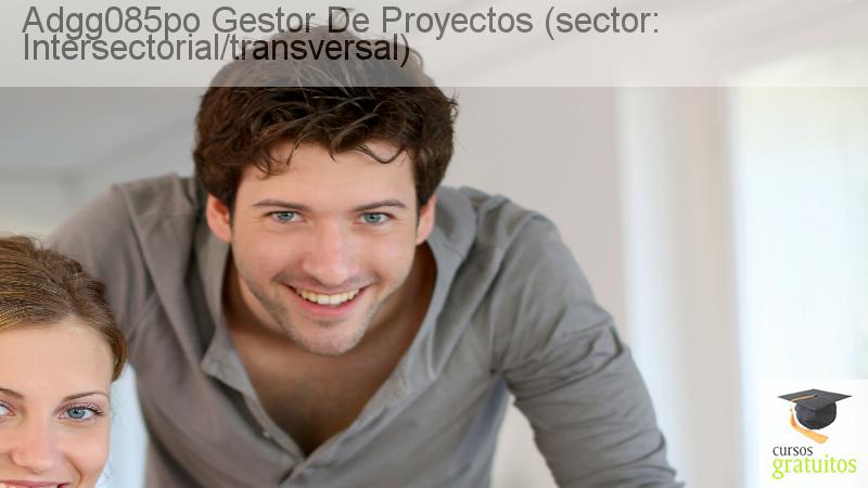 Cursos Para Trabajadores Gestor De Proyectos (sector: Intersectorial/transversal) Adgg085po cursos gratuitos
