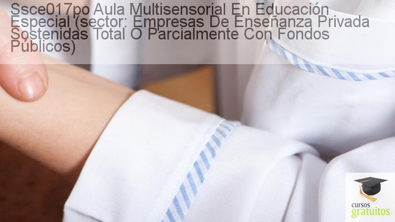 Cursos Para Trabajadores Aula Multisensorial En Educación Especial (sector: Empresas De Enseñanza Privada Sostenidas Total O Parcialmente Con Fondos Públicos) Ssce017po cursos gratuitos