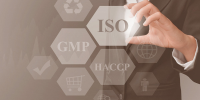 Curso Gratuito Curso Superior en Implantación y Auditoría de Sistemas de Gestión de la Calidad (ISO 9001)