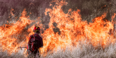 Curso Gratuito Especialista en Defensa contra Incendios Forestales