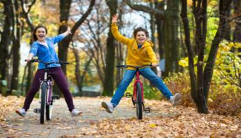 Curso gratuito Eventos, Actividades y Juegos para Animación Físico-Deportiva y Recreativa