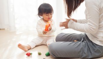 Curso Gratuito Técnico en Psicomotricidad para Titulados Universitarios en Terapia Ocupacional (Doble Titulación + 4 Créditos ECTS)