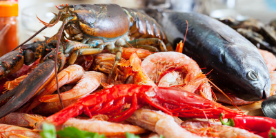 Curso gratuito Acondicionado del Pescado y Marisco (Online)